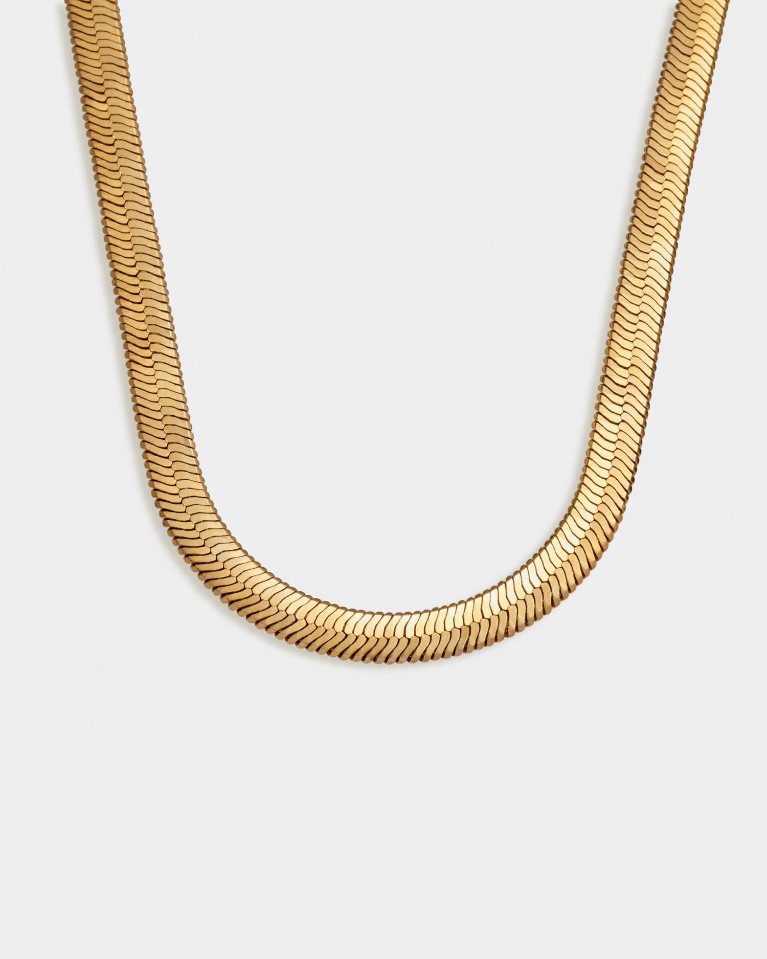 Katie Loxton Ciana Large Snake Chain Necklace | Gold Coated