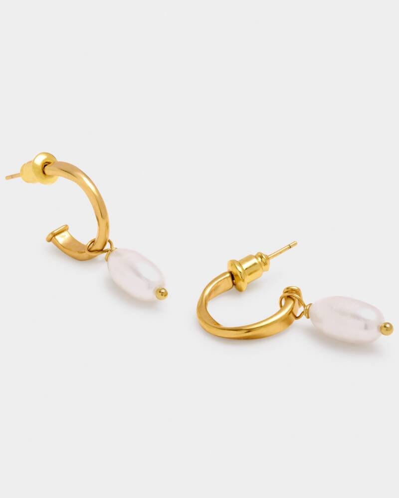Katie Loxton Pearl Lustre Hoop Earrings | Pearl and Gold Coated